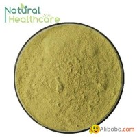 Good price organic olive leaf extract