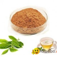 Instant Green Tea Extract Powder