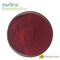 Best selling organic natural acai berry powder brazil
