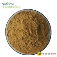 Milk Thistle Extract Silybin