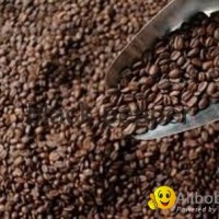 roasted arabica coffee