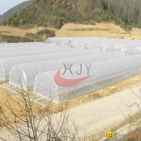 Agricultural Single Span Plastic Film Greenhouse