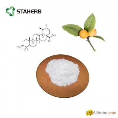 Loquat leaf extract Corosolic acid1-10% Eribotrya japonica (Thunb) Lindl)picture1