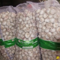 Jinxiang Fresh Red Garlic 20kg mesh bag*