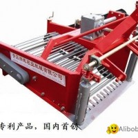 Potato harvester