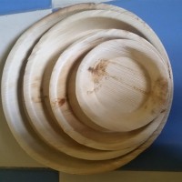 Areca leaf Plate