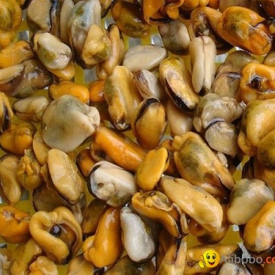 frozen mussel meatpicture1
