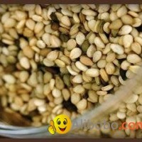 Sesame Seeds