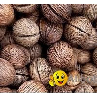 various tropical fruit and vegetable in stock