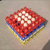 egg tray