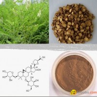 Astragalus Extract