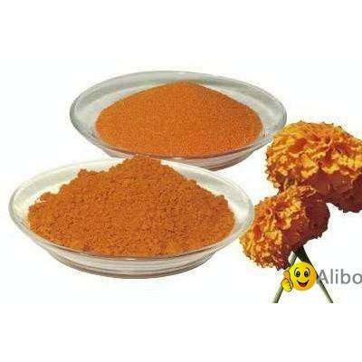 Manufacture lutein powder 2%picture1