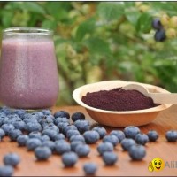 blueberry anthocyanins