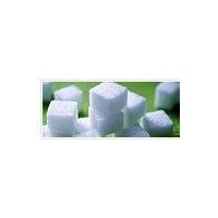 China sugar monthly market report