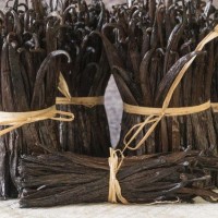 Vanilla beans