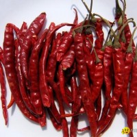 Chilies
