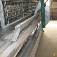 chicken cage