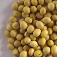 Sell Natural Soybean available for exportation