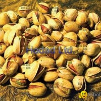 Jumbo Iranian Pistachio (Kalleqouchi)