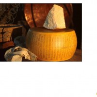 PARMIGIANO REGGIANO