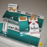 Hot Sale for Newport 100s Cigarette