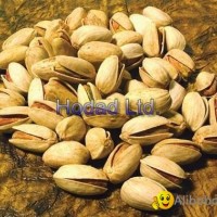 Super long Iranian Pistachio (Akbari)