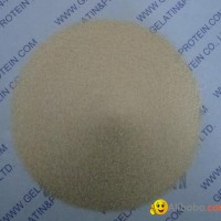 Gelatin (80-280Bloom)
