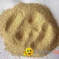 dry yeast with best price and competitive price!