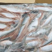 Whole mackerel - size 200/300 grams