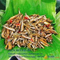 Vietnam dried Anchovy-Best price