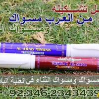 Miswak with holder