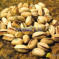 Long Iranian Pistachio (Ahmad aghaee)