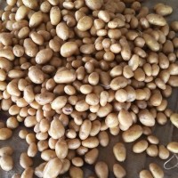 fresh farm potatoes for sale