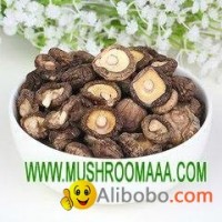,Dried Shiitake Chinese Mushroom