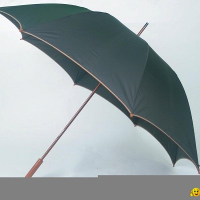 buy umbrellapicture1