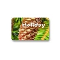 Standard plastic card