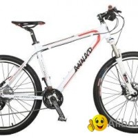 E-Mountain Bikes MNL7 29er