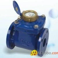 Removable Cold Water Meter