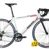 E-Road Bikes RNL1