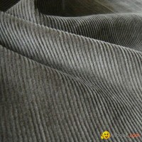 Stretch Corduroy Fabric Cxc414 11w