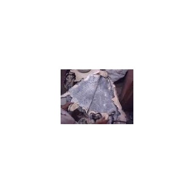 karakul skinspicture1