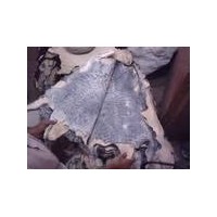 karakul skins