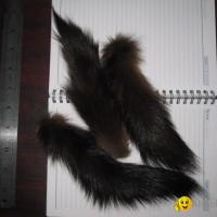 russian sable tail