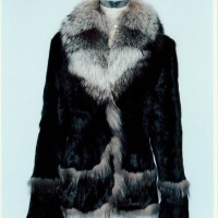 fur lady's garment