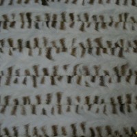 MINK BROWN CROSS FUR PLATES(front paw)