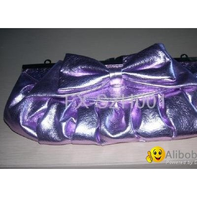 evening pursepicture1