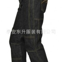 motorcycle pant