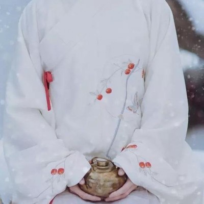 Traditional Hanfu Spring and Autumn Winter Clothing With Daily Mamian Skirtpicture1