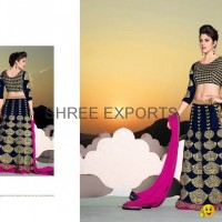 Bridal Lehenga Choli Online Shopping