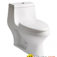 Quality Watersaving CUPC Toilet